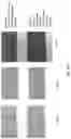 Fig. 16 - FORMULATIONS FOR USE WITH AN INTERMEDIATE TRANSFER MEMBER OF INDIRECT PRINTING SYSTEMS AND PRINTING PROCESSES UTILIZING SAME