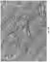 Fig. 17 - FORMULATIONS FOR USE WITH AN INTERMEDIATE TRANSFER MEMBER OF INDIRECT PRINTING SYSTEMS AND PRINTING PROCESSES UTILIZING SAME
