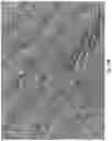 Fig. 18 - FORMULATIONS FOR USE WITH AN INTERMEDIATE TRANSFER MEMBER OF INDIRECT PRINTING SYSTEMS AND PRINTING PROCESSES UTILIZING SAME