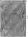 Fig. 20 - FORMULATIONS FOR USE WITH AN INTERMEDIATE TRANSFER MEMBER OF INDIRECT PRINTING SYSTEMS AND PRINTING PROCESSES UTILIZING SAME