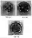 Fig. 06 - Nano-cellulose compositions, coatings, and uses thereof