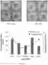 Fig. 10 - Nano-cellulose compositions, coatings, and uses thereof