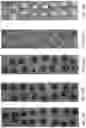 Fig. 17 - Nano-cellulose compositions, coatings, and uses thereof