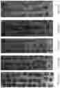 Fig. 19 - Nano-cellulose compositions, coatings, and uses thereof
