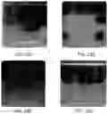 Fig. 21 - Nano-cellulose compositions, coatings, and uses thereof