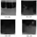Fig. 22 - Nano-cellulose compositions, coatings, and uses thereof
