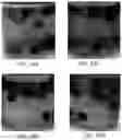Fig. 24 - Nano-cellulose compositions, coatings, and uses thereof