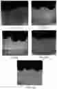 Fig. 25 - Nano-cellulose compositions, coatings, and uses thereof