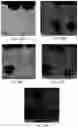 Fig. 28 - Nano-cellulose compositions, coatings, and uses thereof