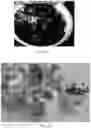 Fig. 30 - Nano-cellulose compositions, coatings, and uses thereof