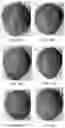 Fig. 32 - Nano-cellulose compositions, coatings, and uses thereof