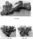 Fig. 34 - Nano-cellulose compositions, coatings, and uses thereof