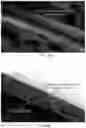 Fig. 41 - Nano-cellulose compositions, coatings, and uses thereof