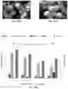 Fig. 46 - Nano-cellulose compositions, coatings, and uses thereof