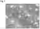 Fig. 05 - RECORDING PAPER, USE THEREOF, AND METHOD FOR PRODUCING RECORDING PAPER