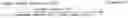 Fig. 02 - Fluorescent Particles