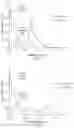 Fig. 05 - Fluorescent Particles