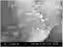 Fig. 01 - Lubricant comprising spherical graphite nanoparticles