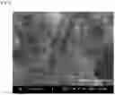Fig. 04 - Lubricant comprising spherical graphite nanoparticles