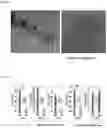 Fig. 05 - Lubricant comprising spherical graphite nanoparticles