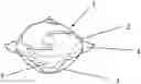 Fig. 01 - Water-soluble unit dose article containing a core/shell capsule