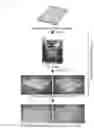 Fig. 03 - Microfluid device and three-dimensional microculture method for cell