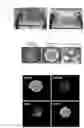 Fig. 05 - Microfluid device and three-dimensional microculture method for cell