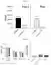 Fig. 05 - FLUIDIC SYSTEM FOR PRODUCING EXTRACELLULAR VESICLES AND ASSOCIATED METHOD