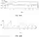 Fig. 18 - AUTOMATED BIOMANUFACTURING SYSTEMS, FACILITIES, AND PROCESSES