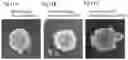 Fig. 12 - PLURIPOTENT STEM CELL MANUFACTURING SYSTEM AND METHOD FOR PRODUCING INDUCED PLURIPOTENT STEM CELLS