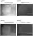 Fig. 16 - PLURIPOTENT STEM CELL MANUFACTURING SYSTEM AND METHOD FOR PRODUCING INDUCED PLURIPOTENT STEM CELLS