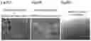 Fig. 26 - PLURIPOTENT STEM CELL MANUFACTURING SYSTEM AND METHOD FOR PRODUCING INDUCED PLURIPOTENT STEM CELLS
