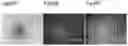 Fig. 29 - PLURIPOTENT STEM CELL MANUFACTURING SYSTEM AND METHOD FOR PRODUCING INDUCED PLURIPOTENT STEM CELLS