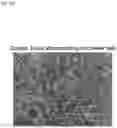 Fig. 34 - PLURIPOTENT STEM CELL MANUFACTURING SYSTEM AND METHOD FOR PRODUCING INDUCED PLURIPOTENT STEM CELLS