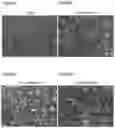 Fig. 46 - PLURIPOTENT STEM CELL MANUFACTURING SYSTEM AND METHOD FOR PRODUCING INDUCED PLURIPOTENT STEM CELLS