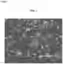 Fig. 47 - PLURIPOTENT STEM CELL MANUFACTURING SYSTEM AND METHOD FOR PRODUCING INDUCED PLURIPOTENT STEM CELLS