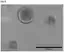 Fig. 09 - ISOLATED CELL CULTURE COMPONENTS AND METHODS FOR ISOLATING THE SAME FROM LIQUID CELL CULTURE MEDIUM