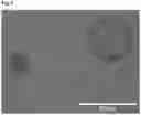 Fig. 10 - ISOLATED CELL CULTURE COMPONENTS AND METHODS FOR ISOLATING THE SAME FROM LIQUID CELL CULTURE MEDIUM