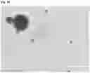 Fig. 11 - ISOLATED CELL CULTURE COMPONENTS AND METHODS FOR ISOLATING THE SAME FROM LIQUID CELL CULTURE MEDIUM