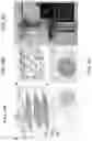 Fig. 06 - CELLULAR MICRO-MASONRY SYSTEM