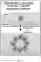 Fig. 12 - CELLULAR MICRO-MASONRY SYSTEM