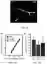 Fig. 20 - CELLULAR MICRO-MASONRY SYSTEM
