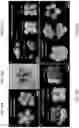 Fig. 35 - CELLULAR MICRO-MASONRY SYSTEM