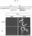 Fig. 03 - Production method for retinal tissue