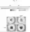 Fig. 04 - Production method for retinal tissue