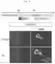 Fig. 06 - Production method for retinal tissue