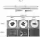 Fig. 09 - Production method for retinal tissue