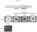 Fig. 10 - Production method for retinal tissue