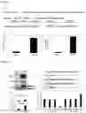 Fig. 02 - METHOD FOR REMOVING SENESCENT CELL, AND METHOD FOR PREPARING SENESCENT CELL