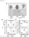 Fig. 09 - METHOD FOR REMOVING SENESCENT CELL, AND METHOD FOR PREPARING SENESCENT CELL